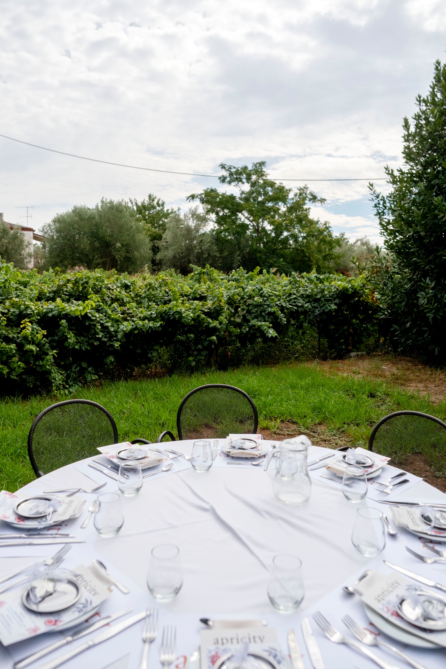 The First Table - Avantis Estate